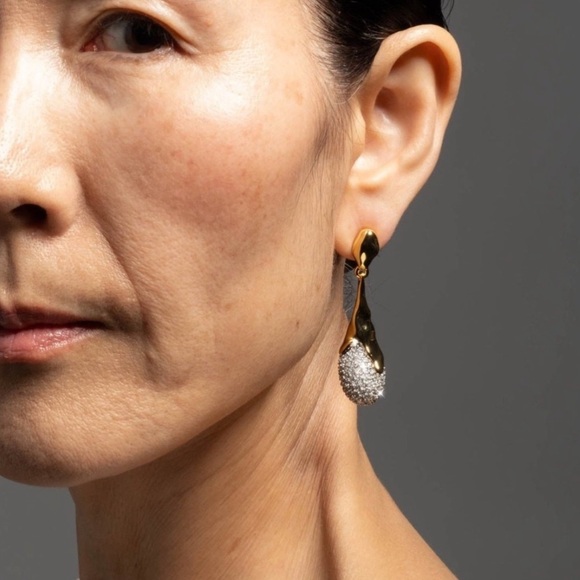 ALEXIS BITTAR Solanales Crystal-Teardrop Earrings - Picture 4 of 6